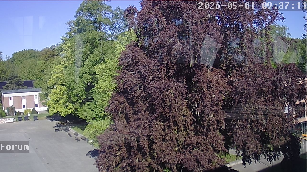 Webcam Forum 09:37