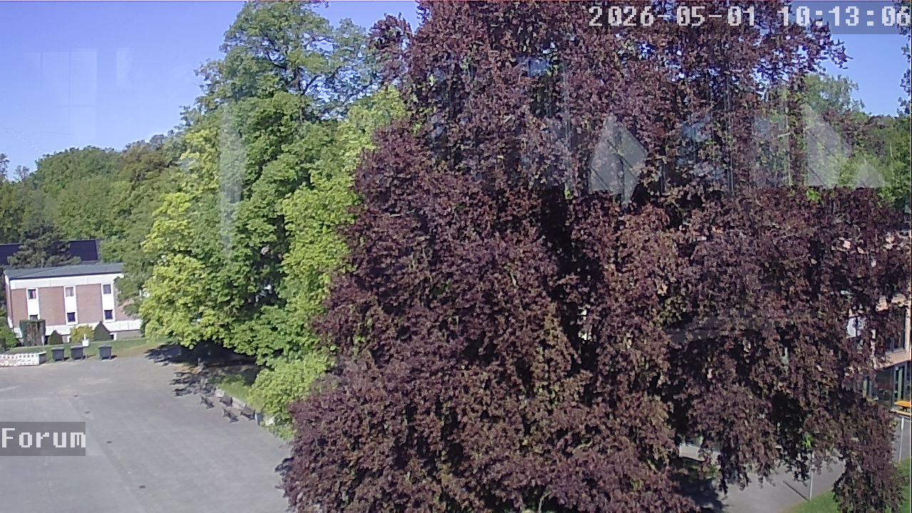 Webcam Forum 10:13