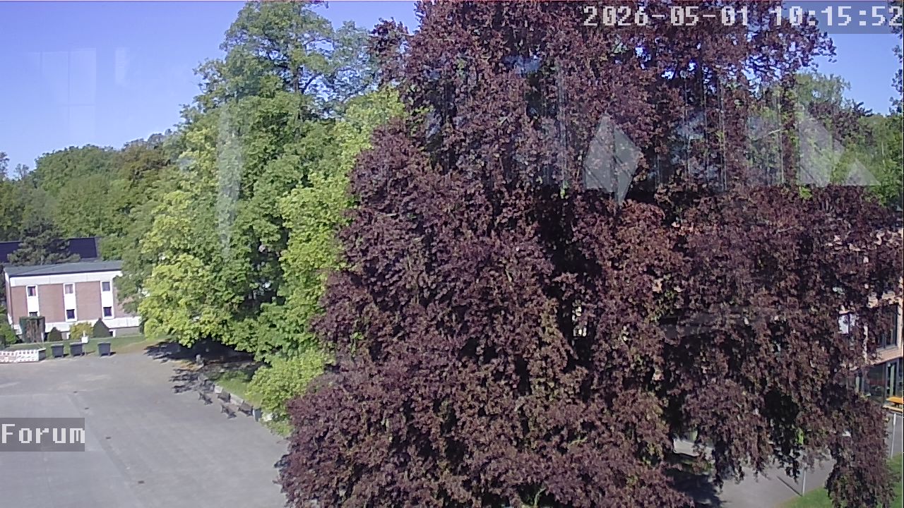 Webcam Forum 10:15
