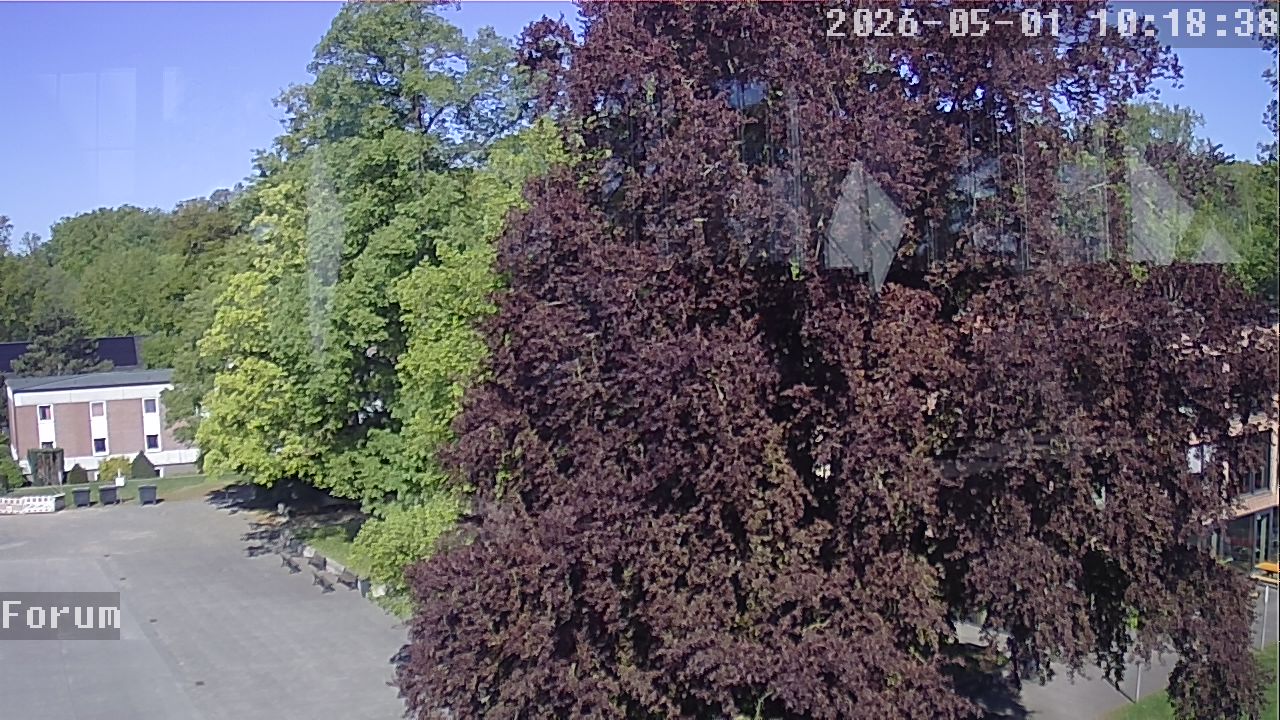 Webcam Forum 10:18