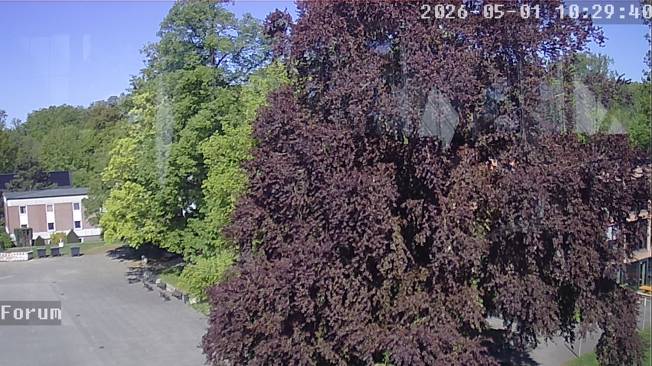 Webcam Forum 10:29