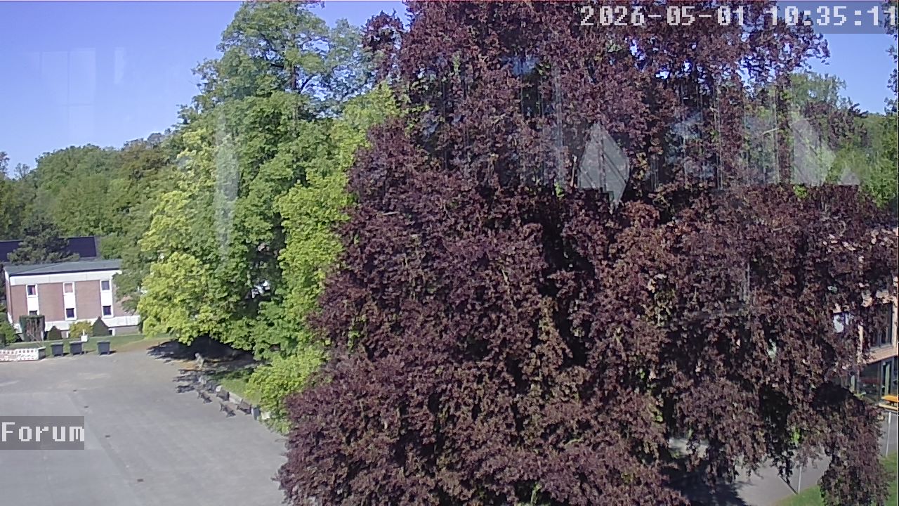 Webcam Forum 10:35