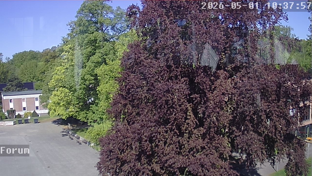 Webcam Forum 10:37