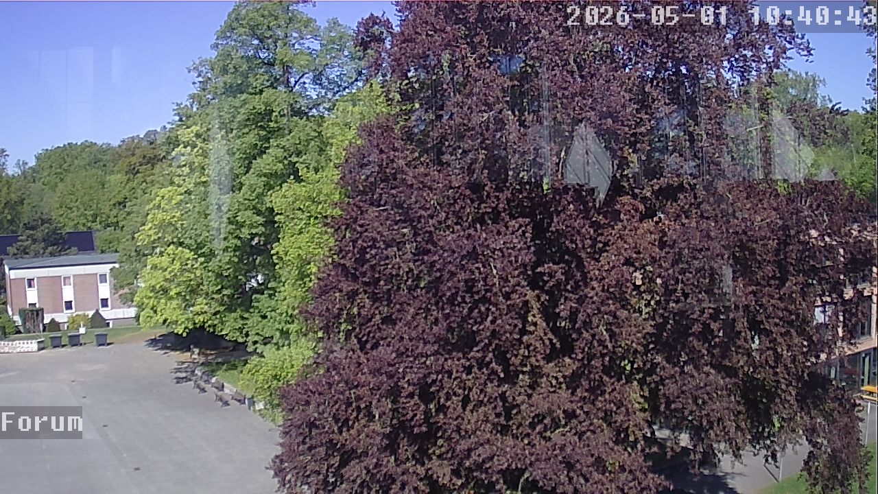 Webcam Forum 10:40