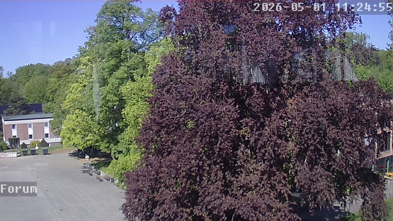 Webcam Forum 11:24