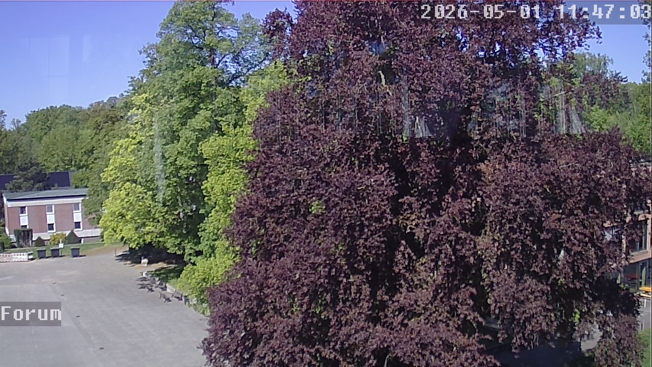 Webcam Forum 11:47