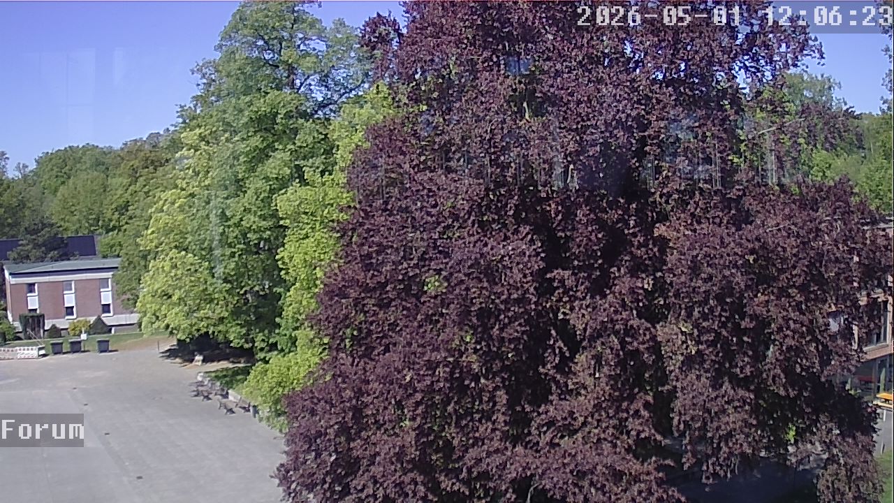 Webcam Forum 12:06