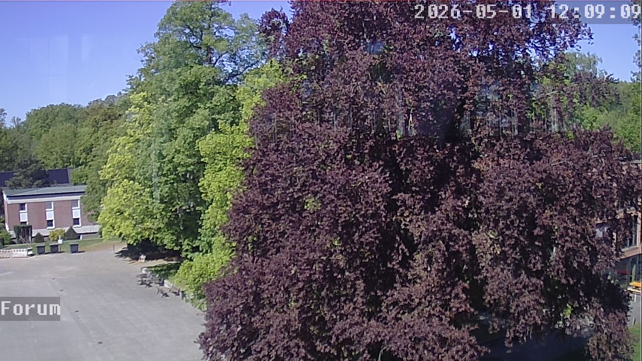 Webcam Forum 12:09