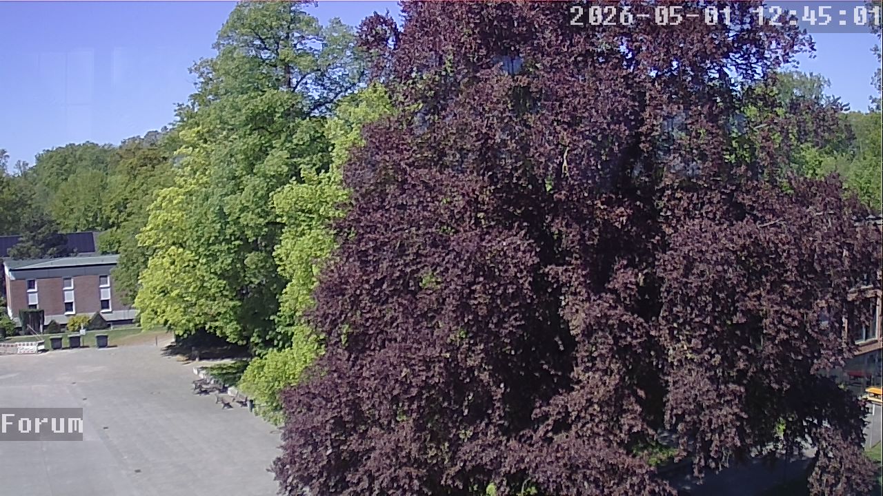 Webcam Forum 12:45