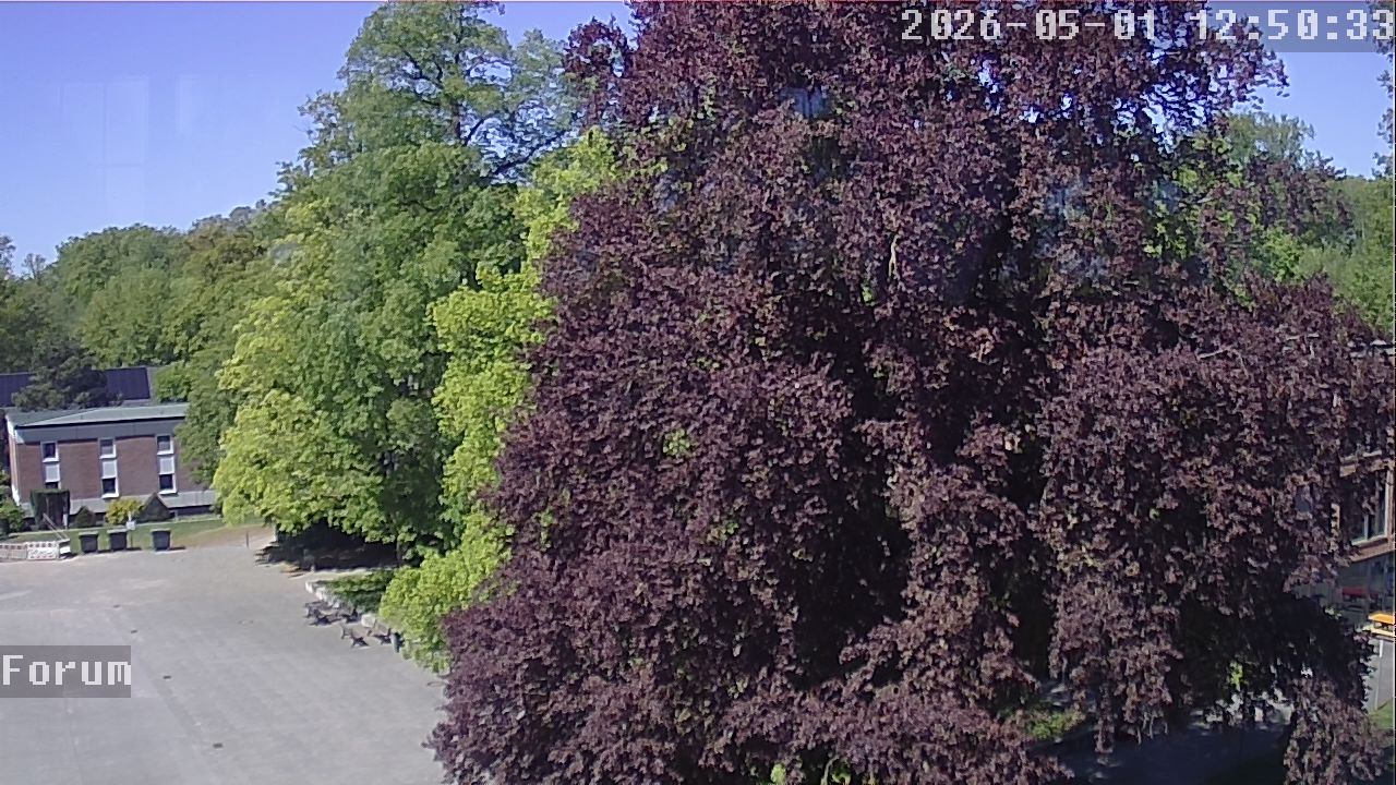 Webcam Forum 12:50