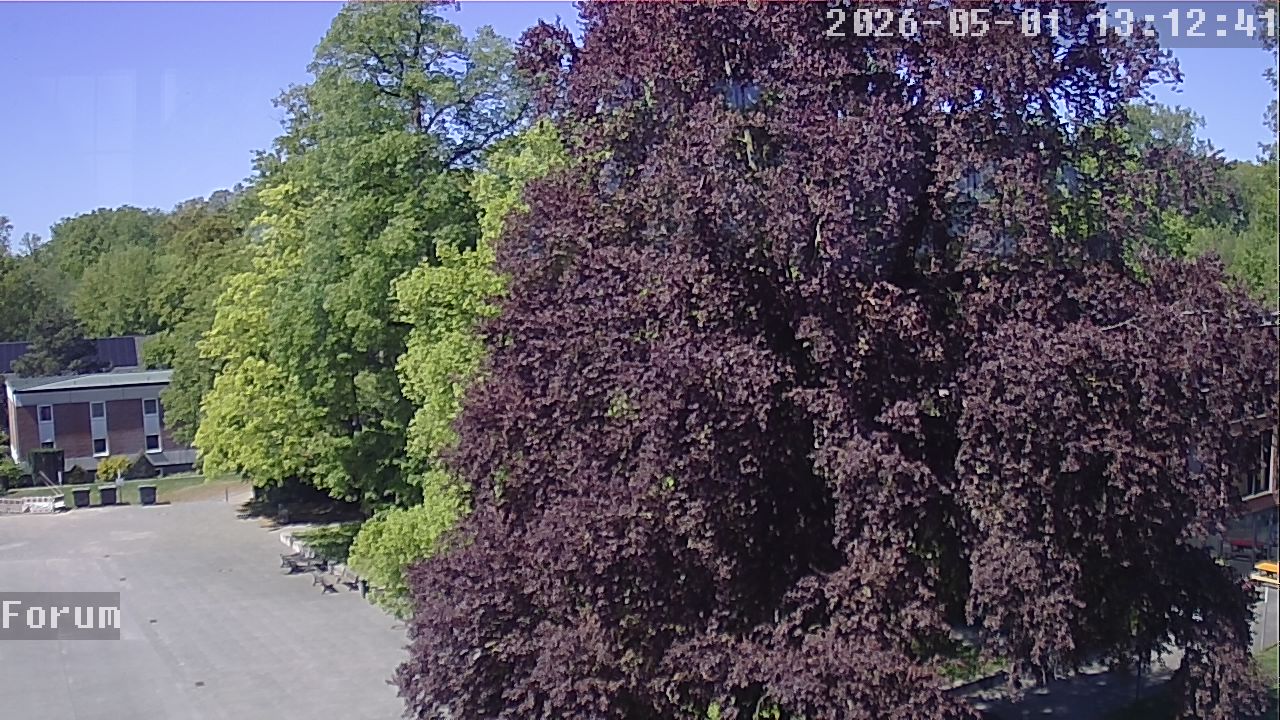 Webcam Forum 13:12