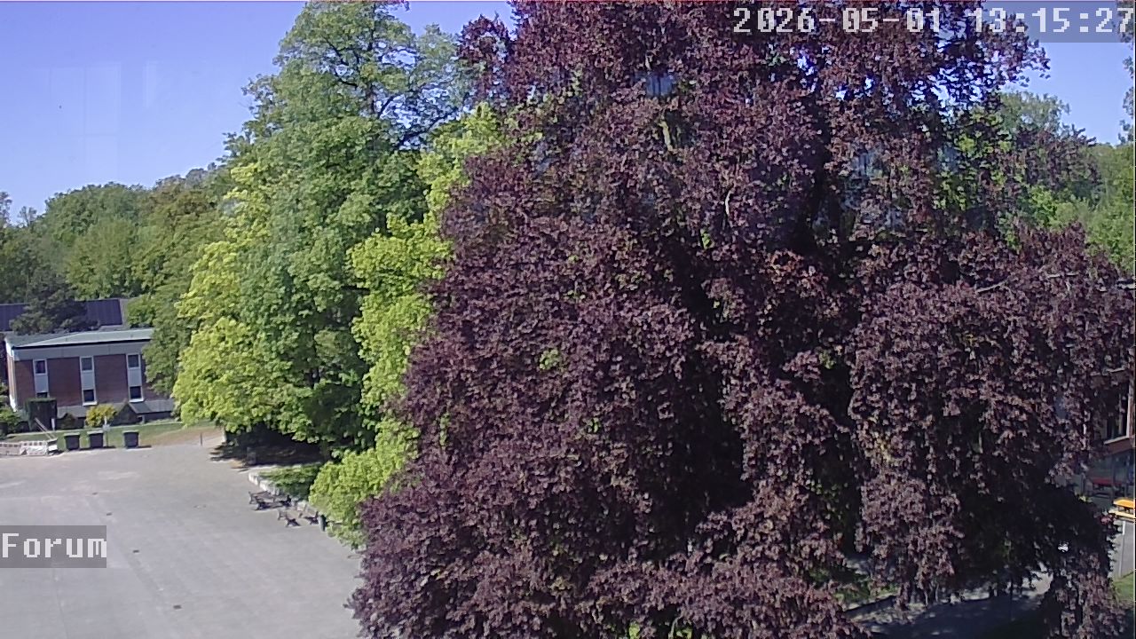 Webcam Forum 13:15