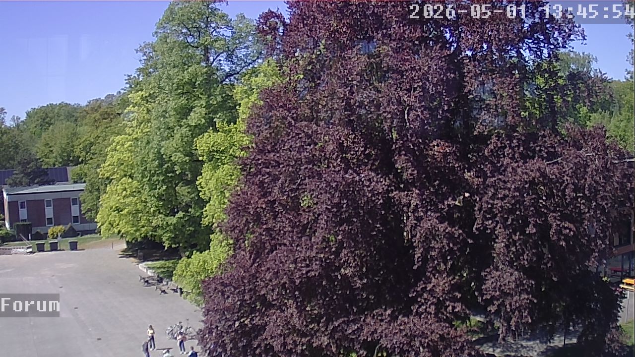 Webcam Forum 13:45