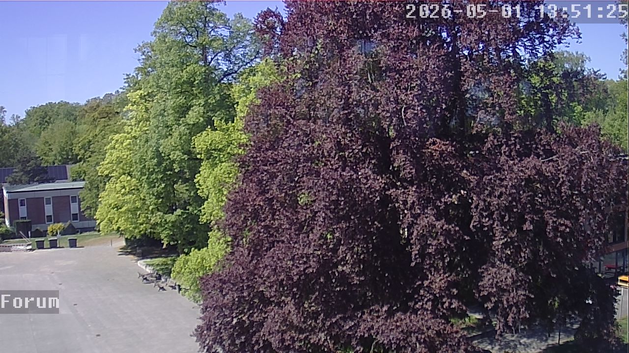 Webcam Forum 13:51