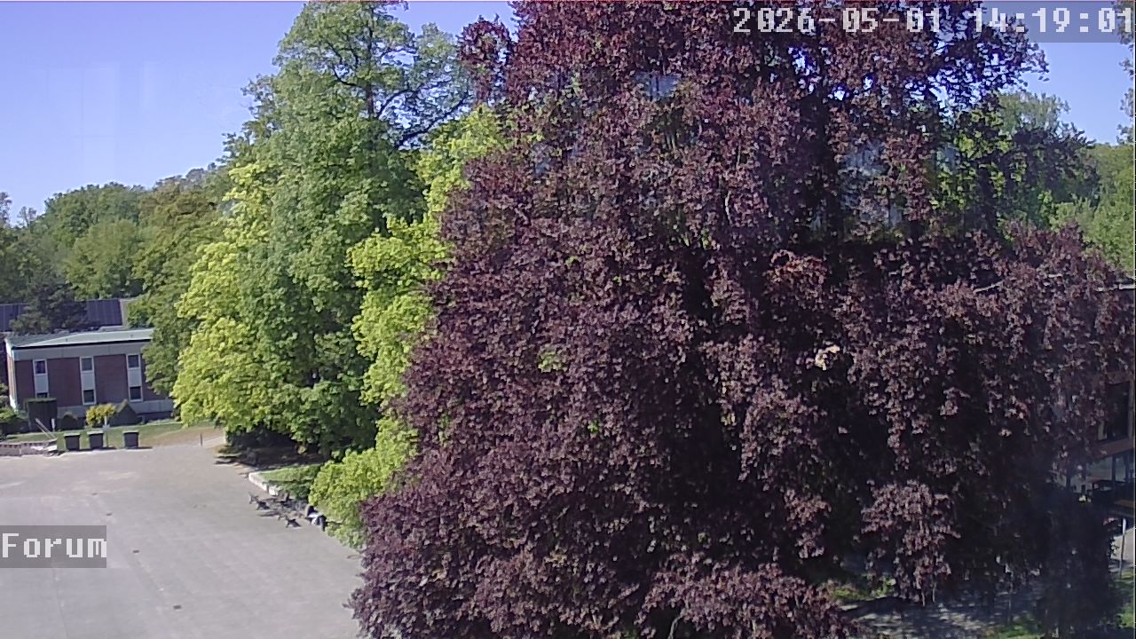 Webcam Forum 14:19