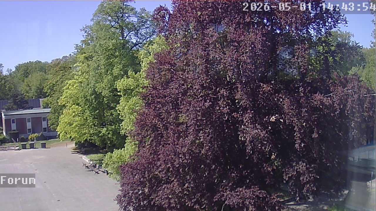 Webcam Forum 14:43