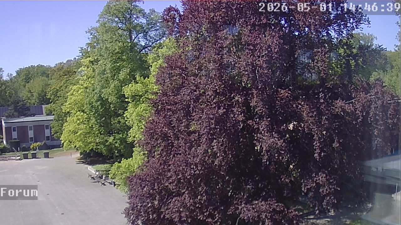 Webcam Forum 14:46