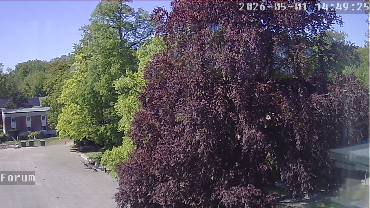 Webcam Forum 14:49