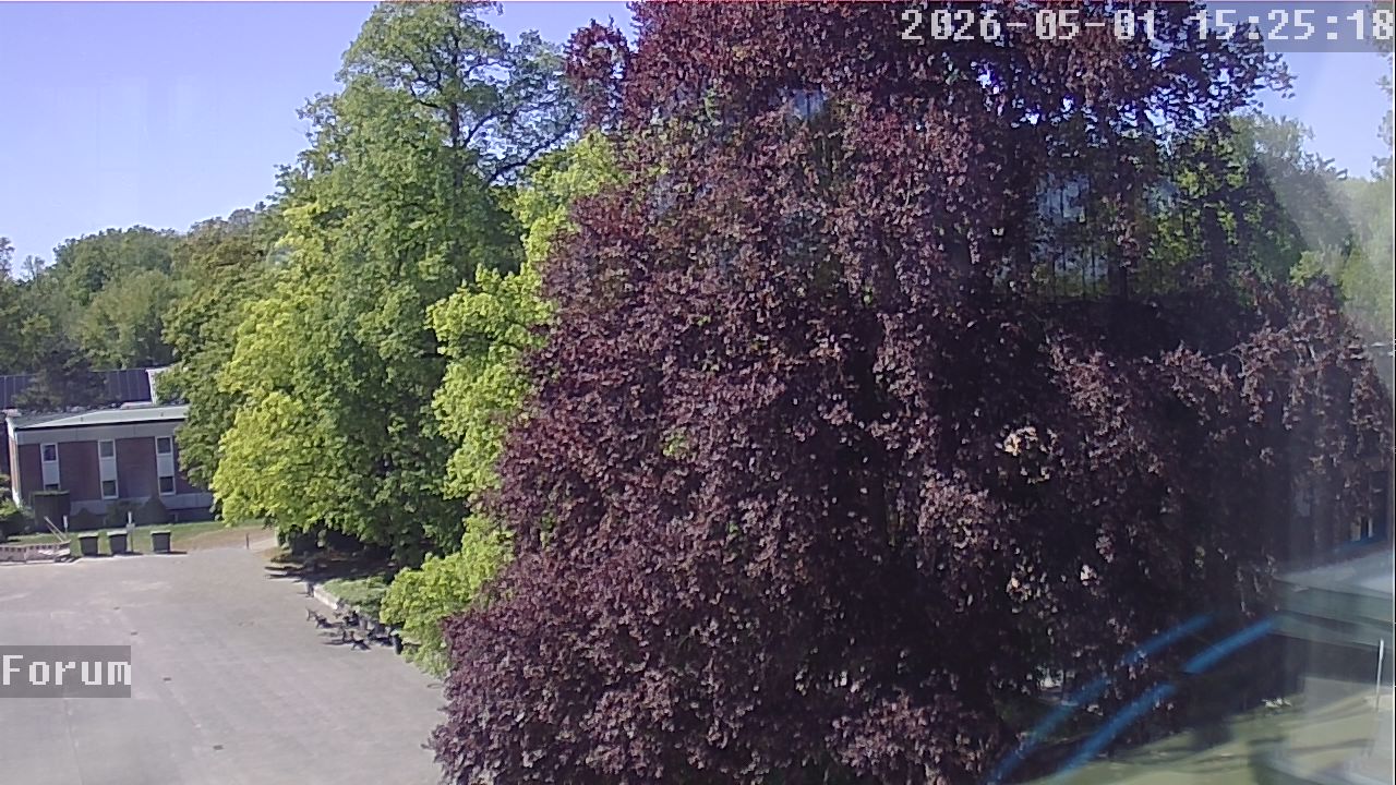 Webcam Forum 15:25