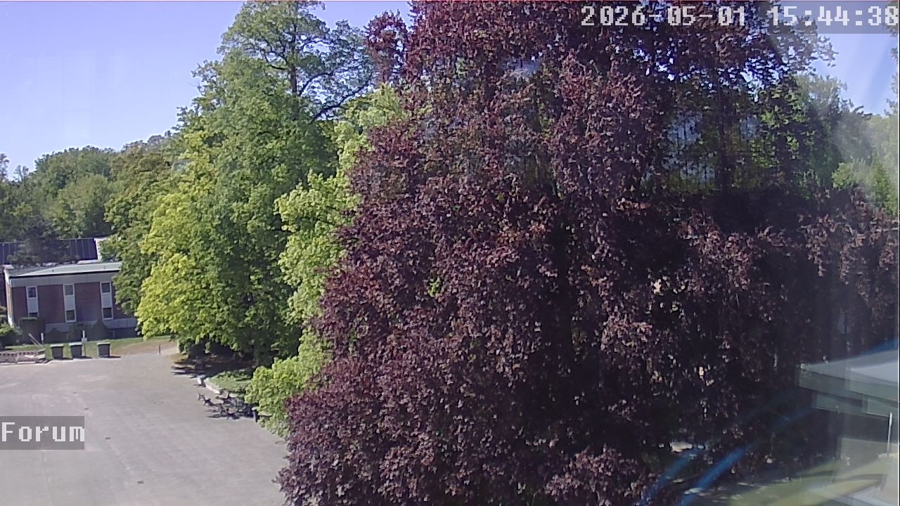 Webcam Forum 15:44