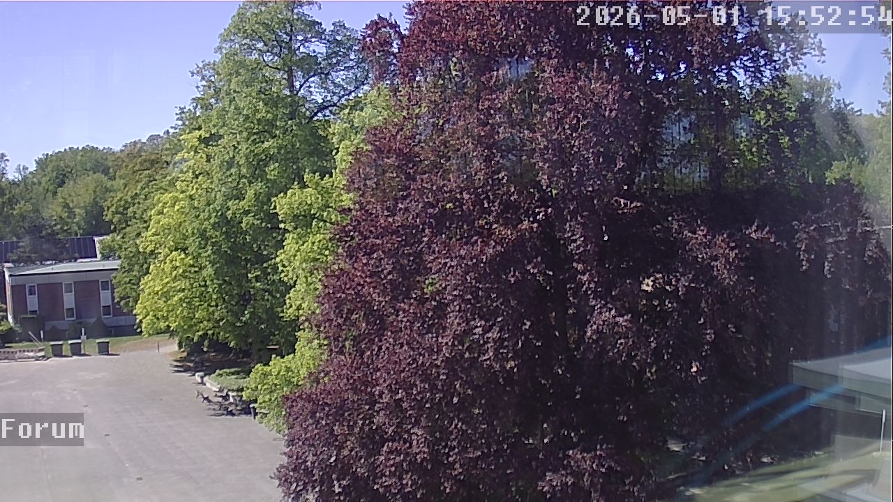 Webcam Forum 15:52