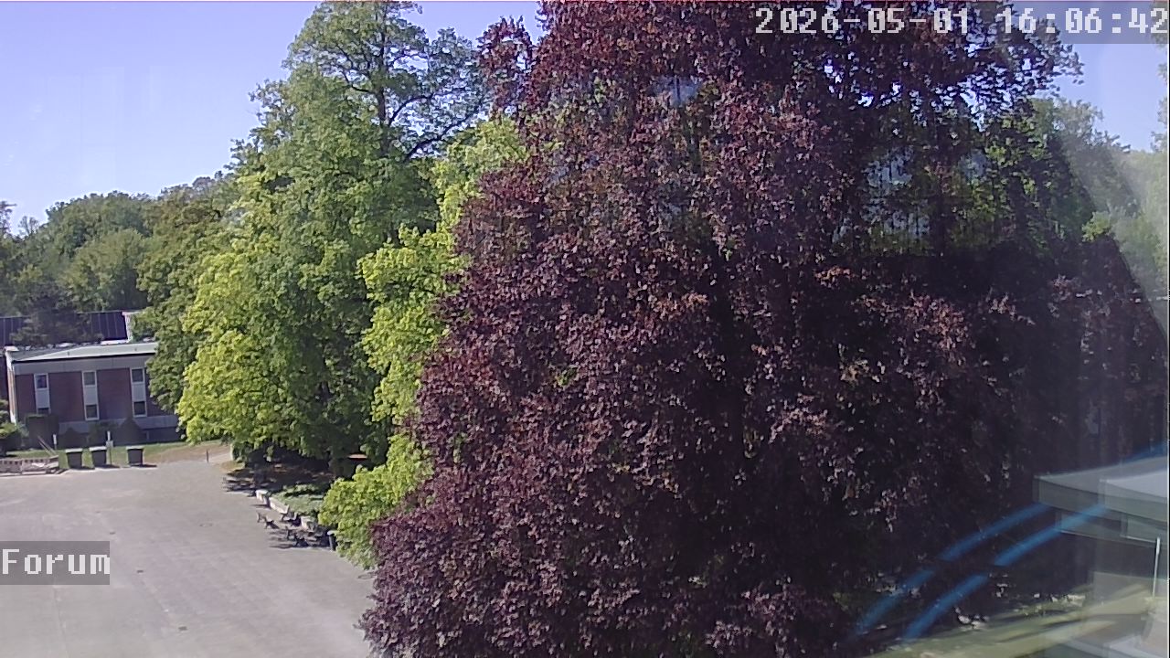 Webcam Forum 16:06