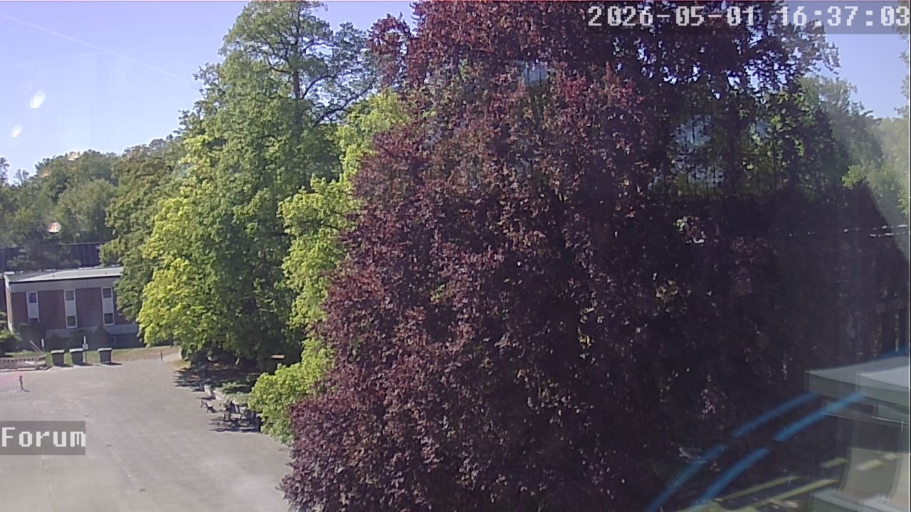 Webcam Forum 16:37
