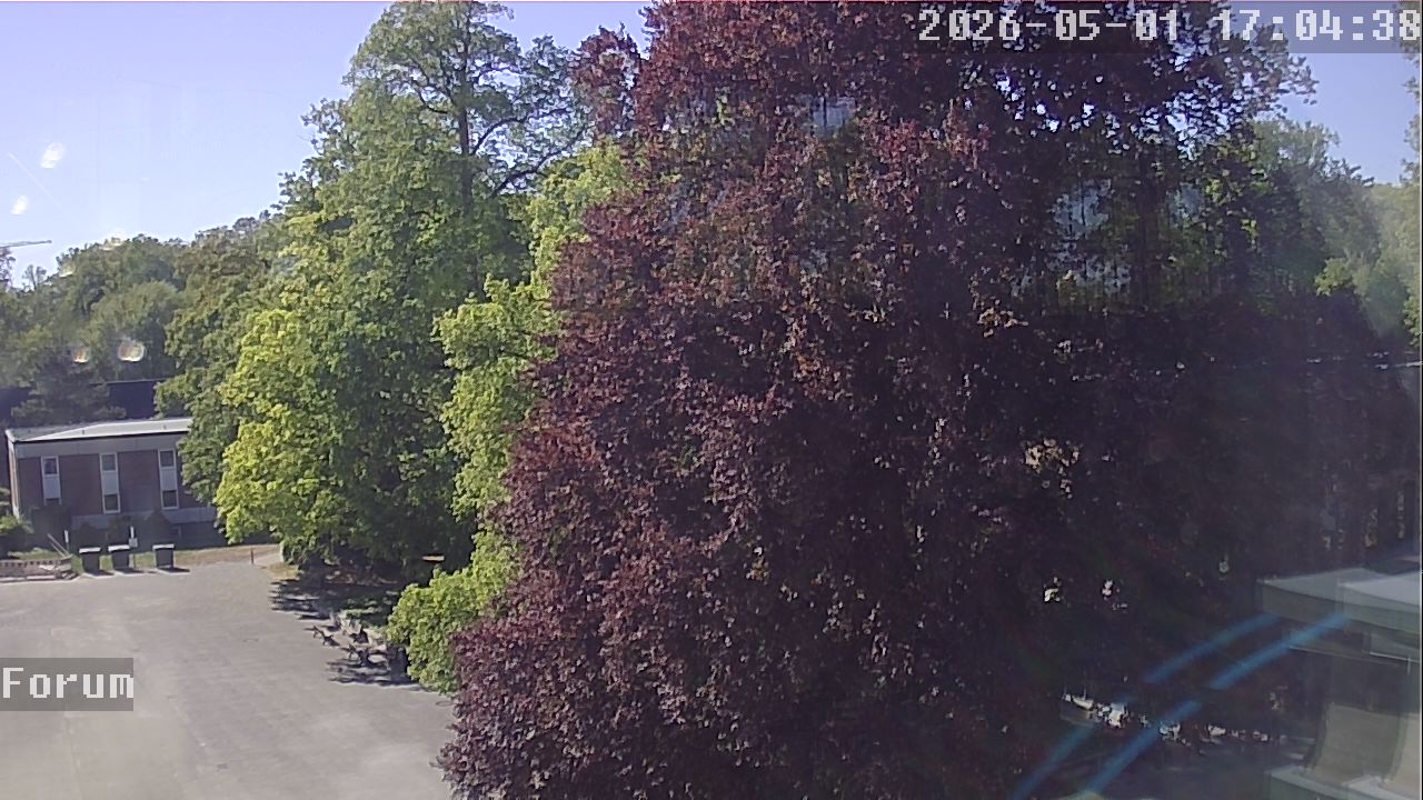 Webcam Forum 17:04