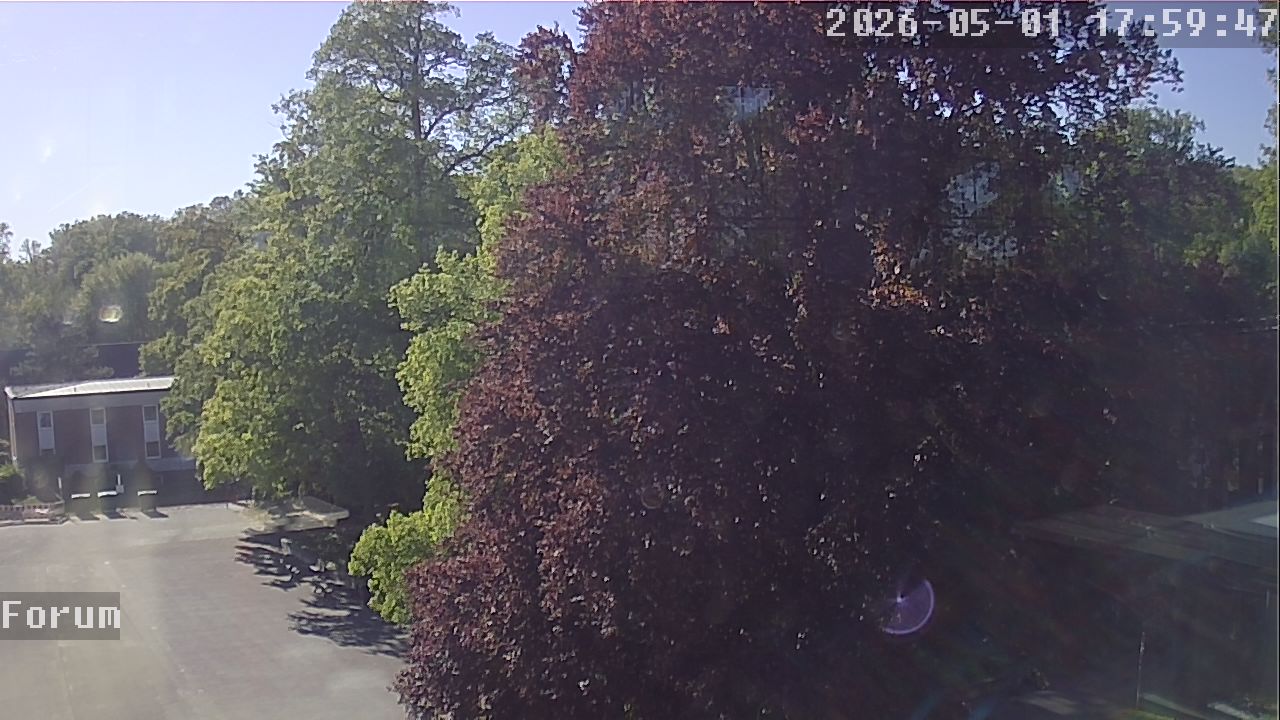 Webcam Forum 17:59