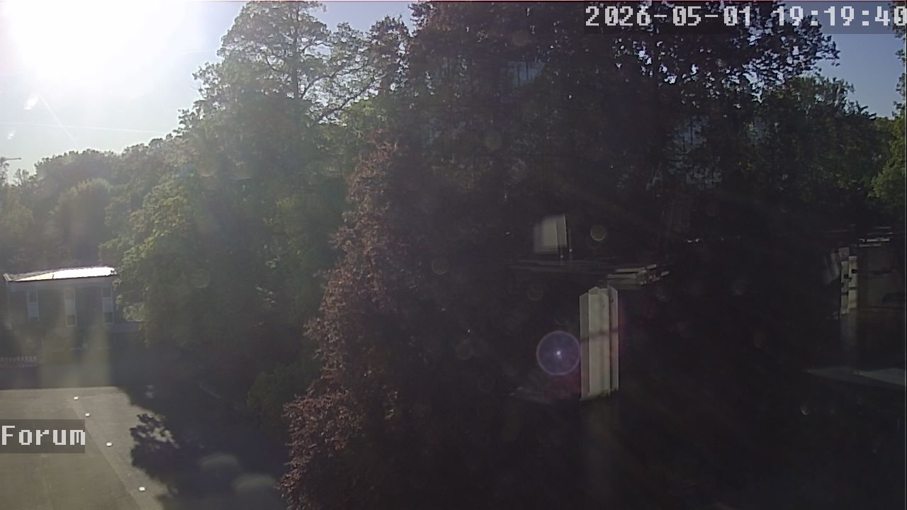 Webcam Forum 19:19