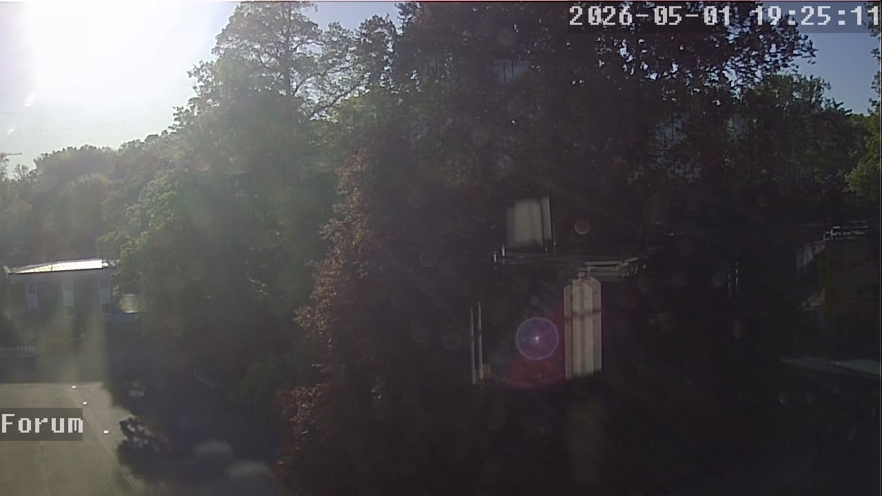 Webcam Forum 19:25