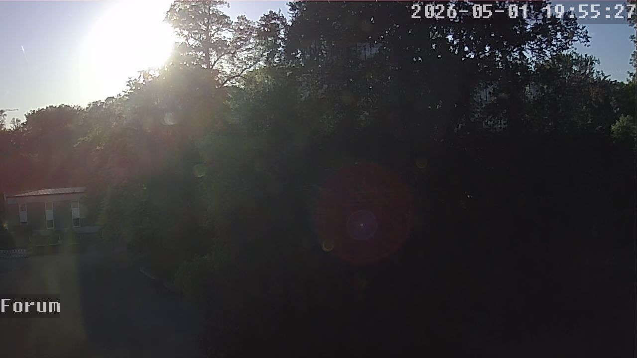 Webcam Forum 19:55
