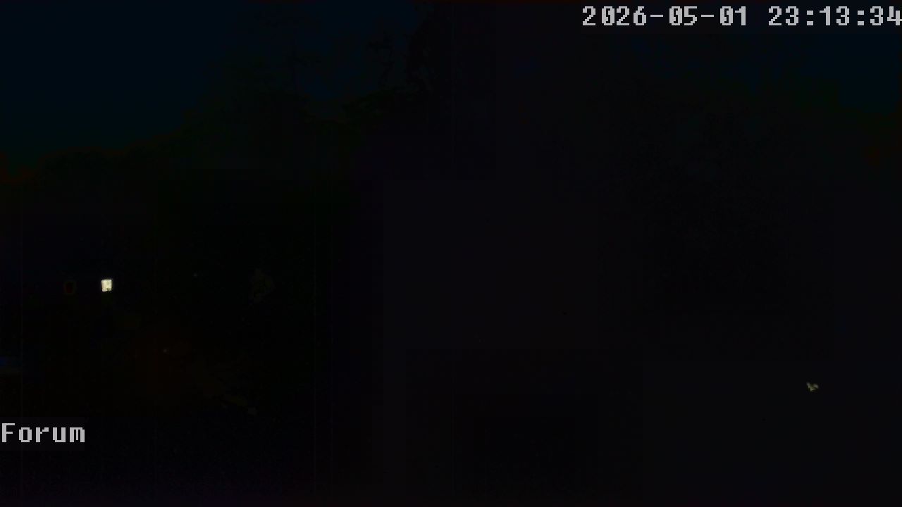 Webcam Forum 23:13