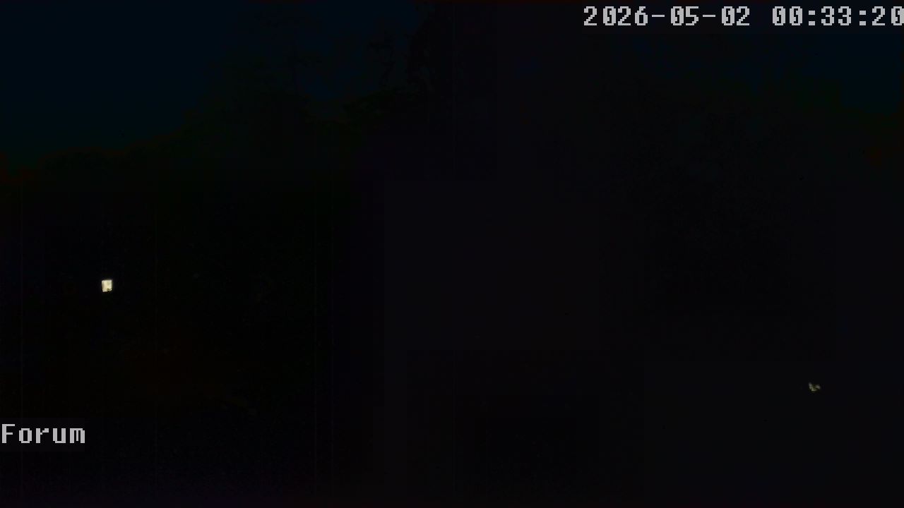 Webcam Forum 00:33