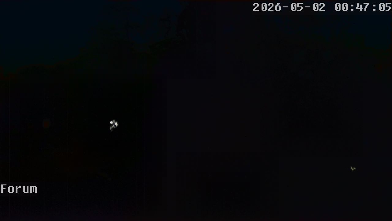 Webcam Forum 00:47