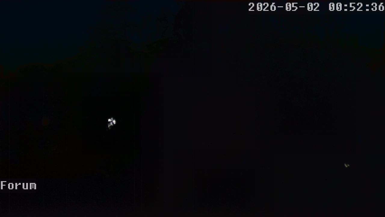 Webcam Forum 00:52