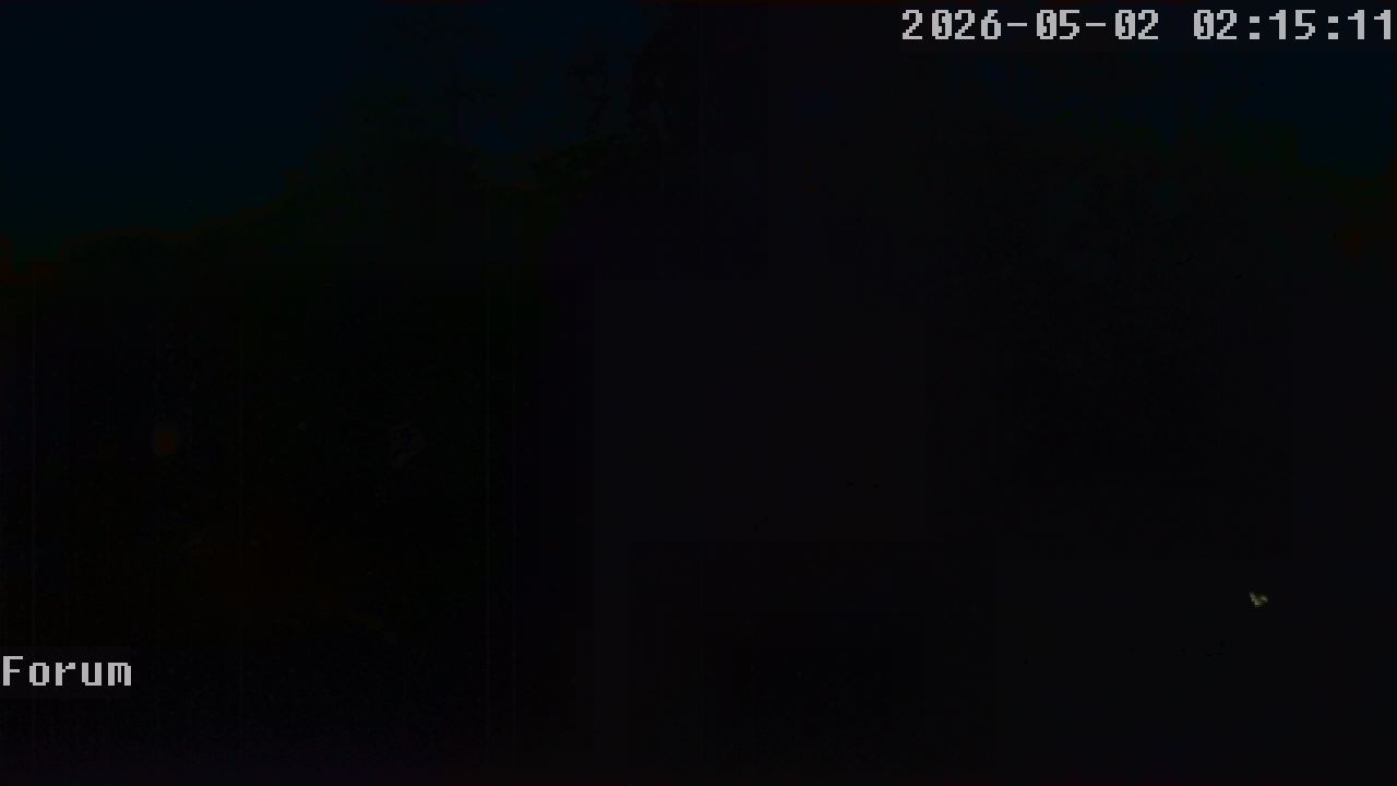 Webcam Forum 02:15