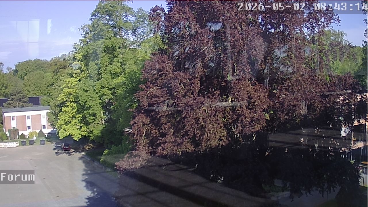 Webcam Forum 08:43