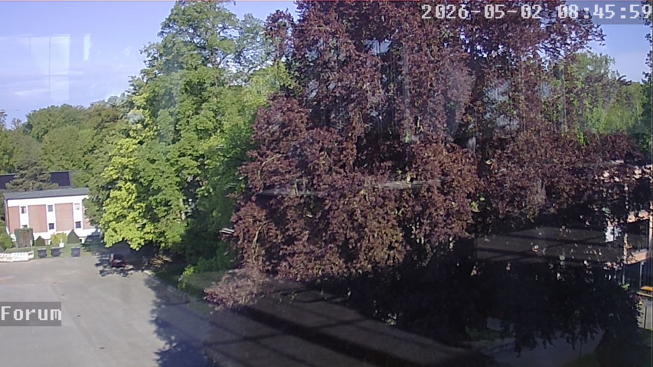 Webcam Forum 08:46