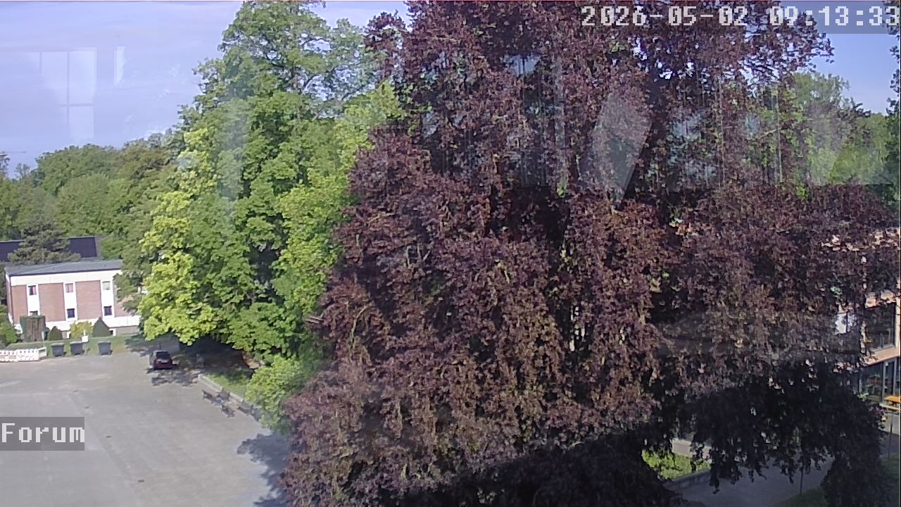 Webcam Forum 09:13