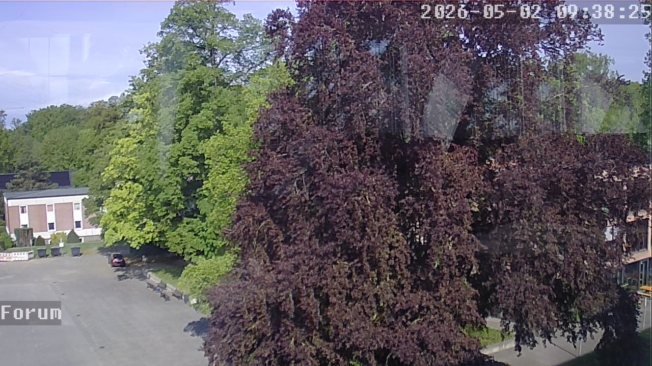 Webcam Forum 09:38