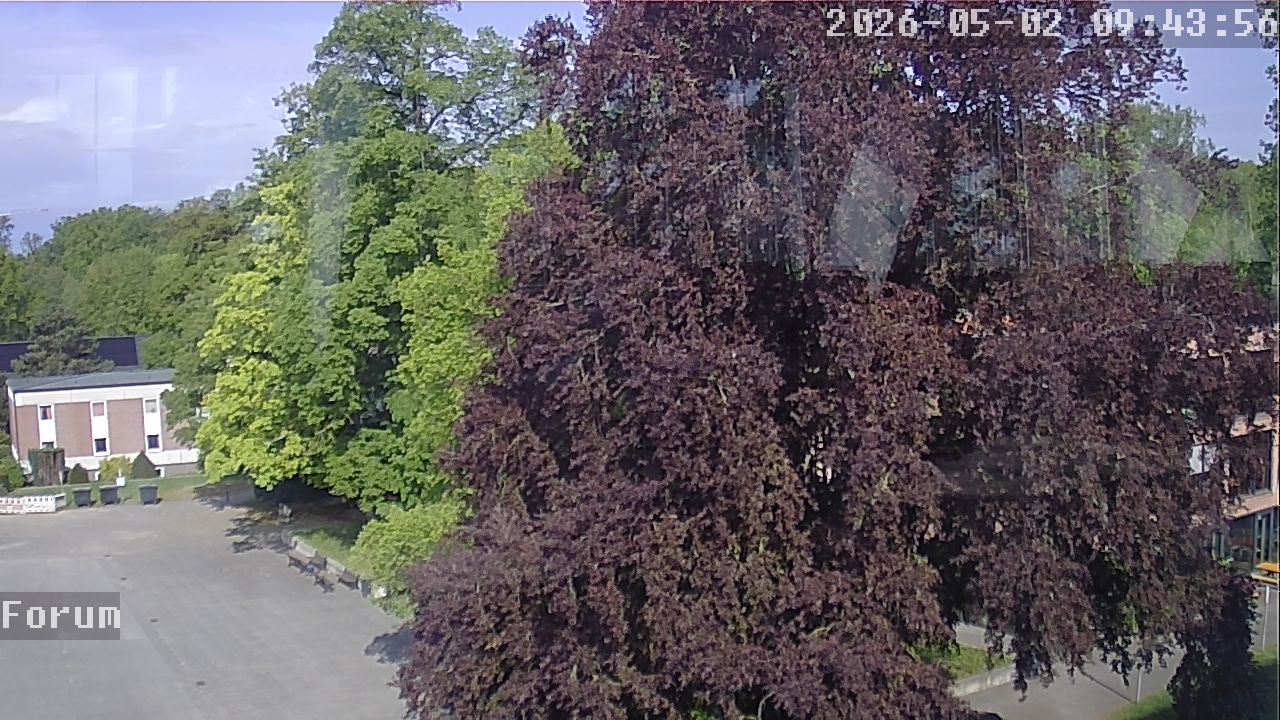 Webcam Forum 09:43