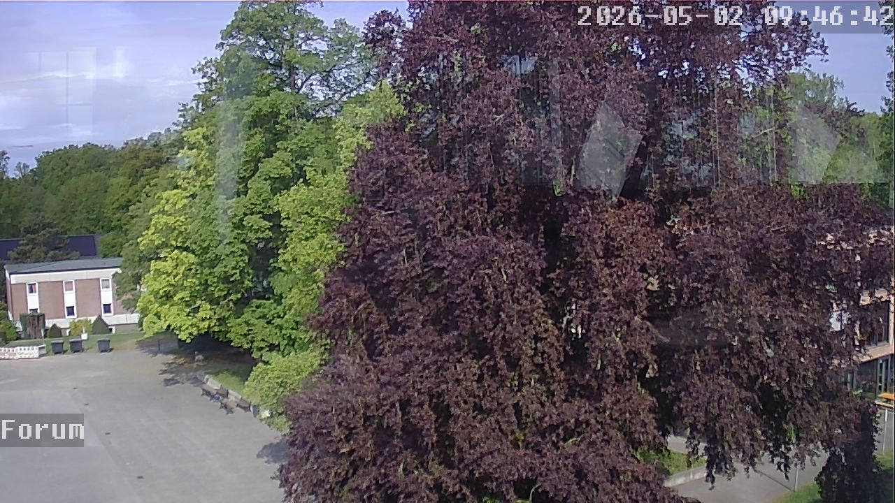 Webcam Forum 09:46