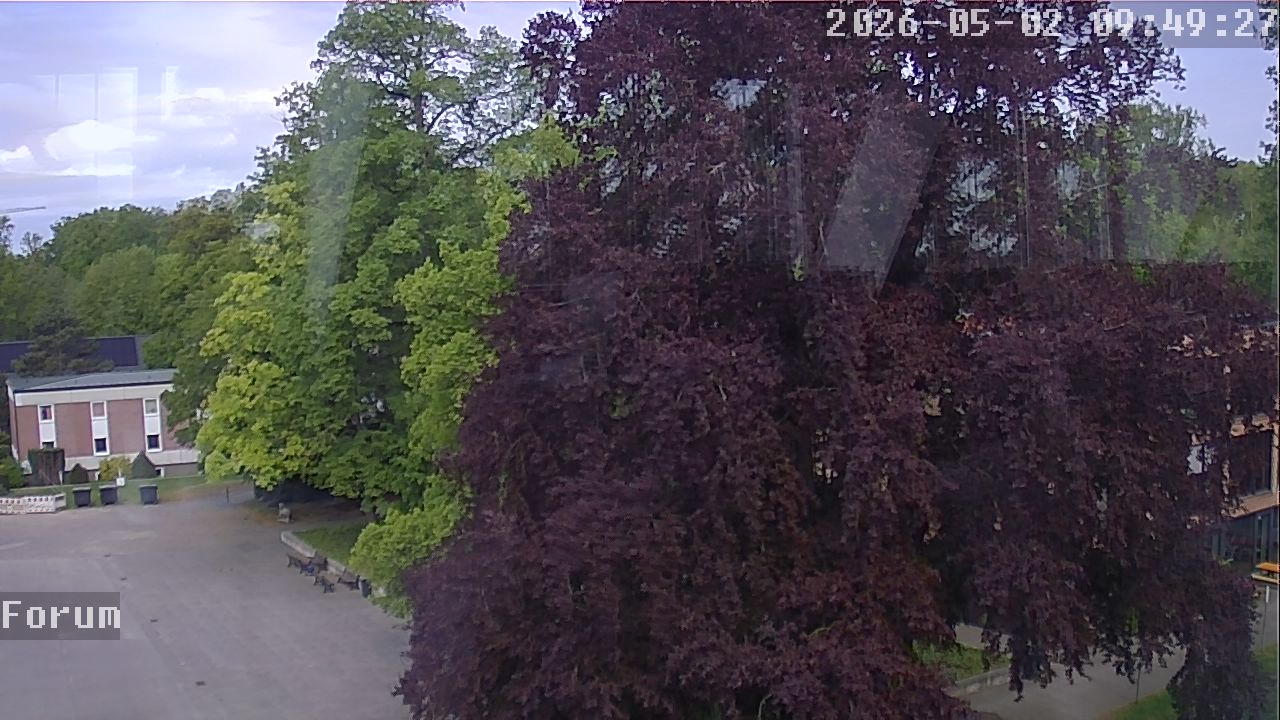 Webcam Forum 09:49