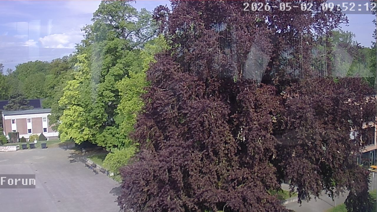Webcam Forum 09:52