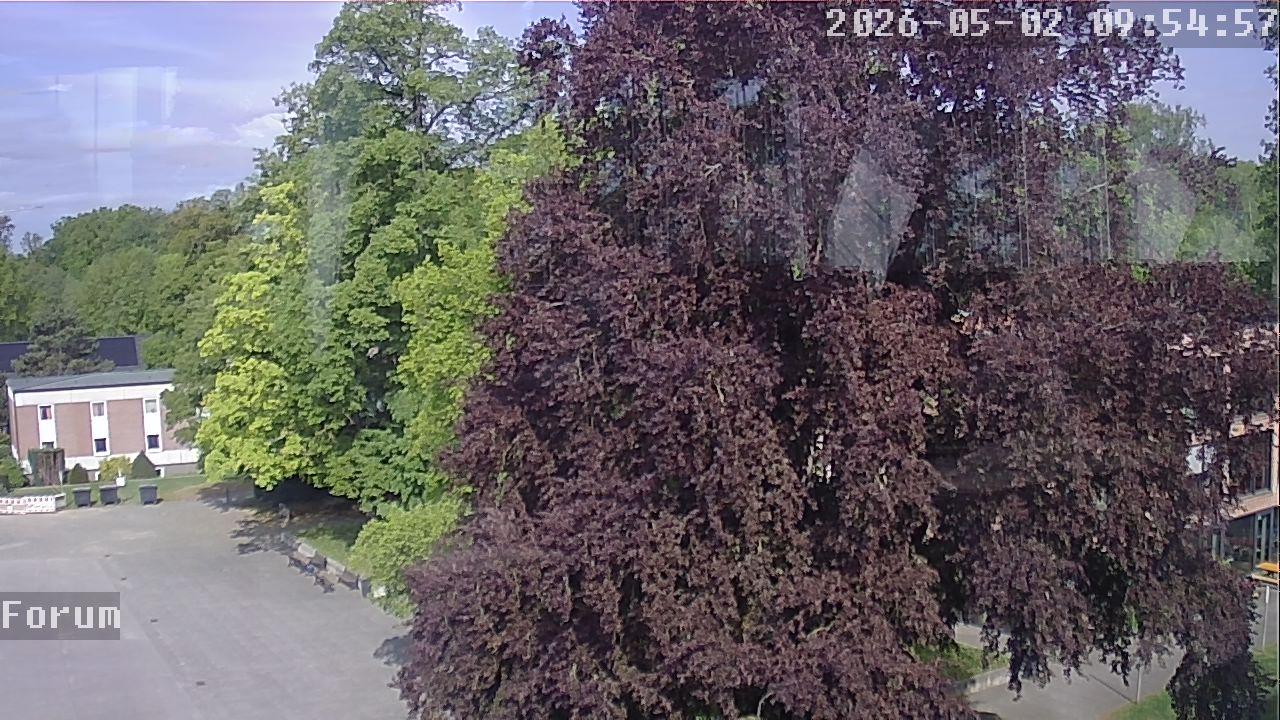 Webcam Forum 09:55