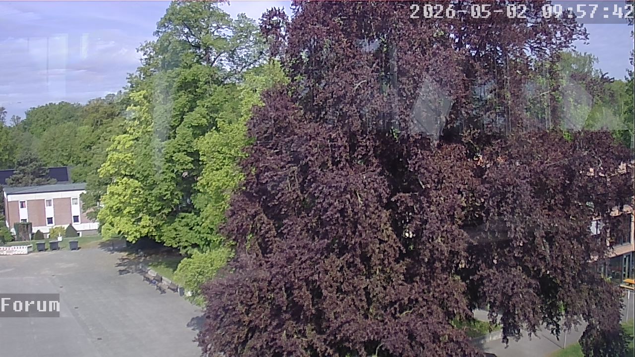 Webcam Forum 09:57