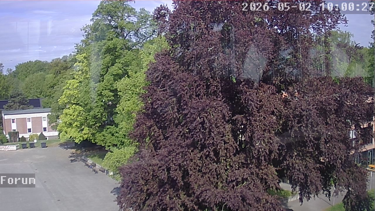 Webcam Forum 10:00