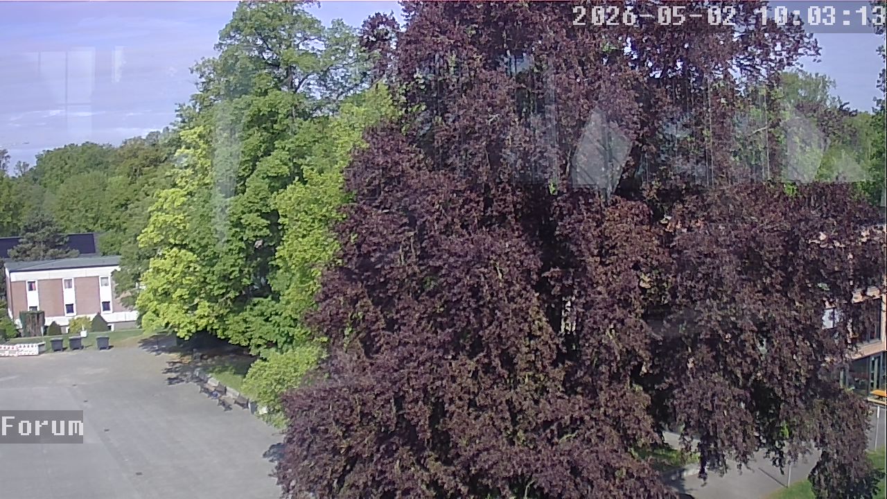 Webcam Forum 10:03