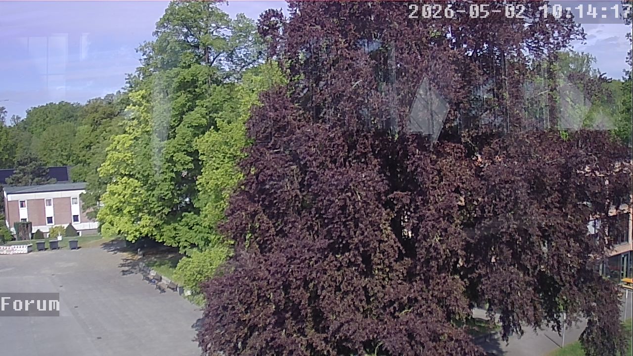 Webcam Forum 10:14